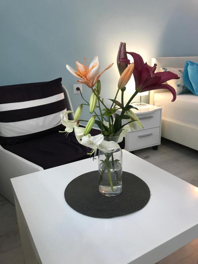 White Rose Guest Rooms Burgas Luaran gambar