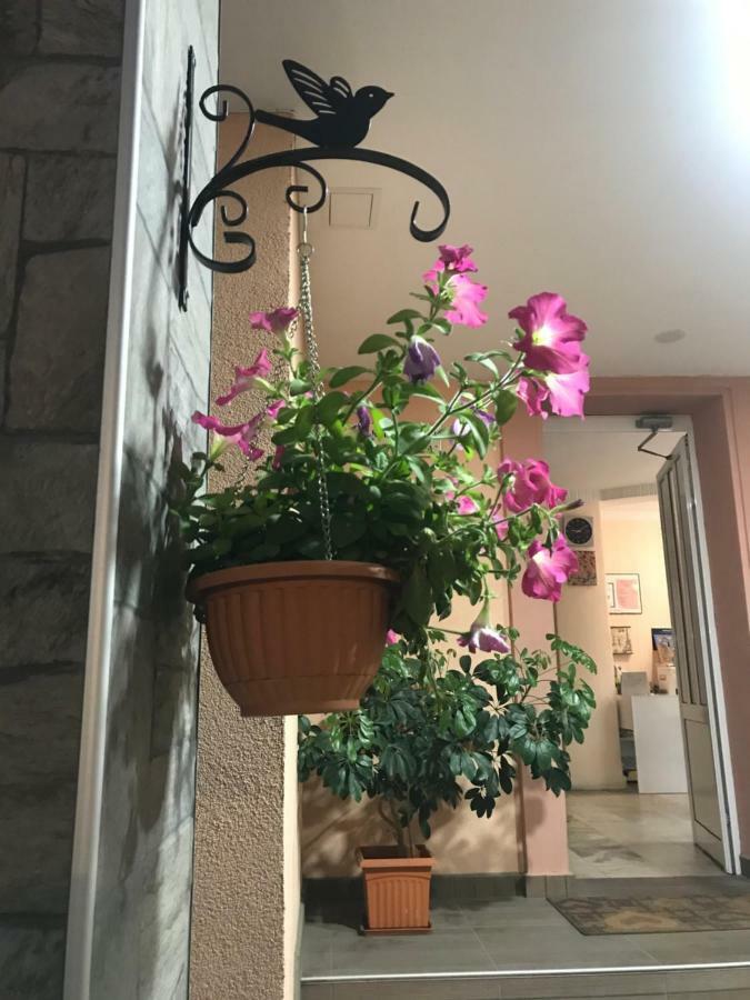 White Rose Guest Rooms Burgas Luaran gambar